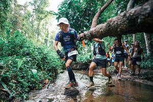 BIB: 
                            <button type="button" onclick="openModal(25370069)" class="btn btn-primary btn-sm float-right btn-popup" data-toggle="modal" data-target=".modal-high-quality">
                        <i class="fas fa-shopping-cart"></i> Add to Cart
                    </button>
                                            <button type="button" onclick="isThisMe(25370069, true)" class="btn btn-success btn-sm float-right btn-popup btn-isme hidden" data-toggle="tooltip" data-placement="bottom" title="นี่คือรูปของคุณใช่ไหม คลิกที่นี่เพื่อเอาเข้าอัลบั้ม">
                        <i class="fas fa-plus"></i> Add to album
                    </button>
                    <button type="button" onclick="isThisMe(25370069, false)" class="btn btn-warning btn-sm float-right btn-popup btn-isnotme hidden">
                        <i class="fas fa-ban"></i> Remove from album
                    </button>